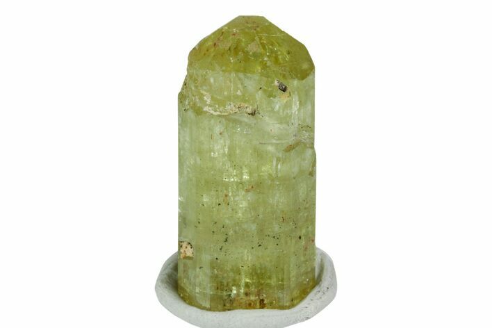 Gemmy, Yellow Apatite Crystal - Morocco #239141